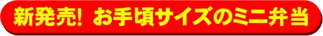 お手頃サイズのミニ弁当
