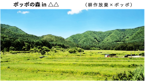 ポッポの森耕作放棄